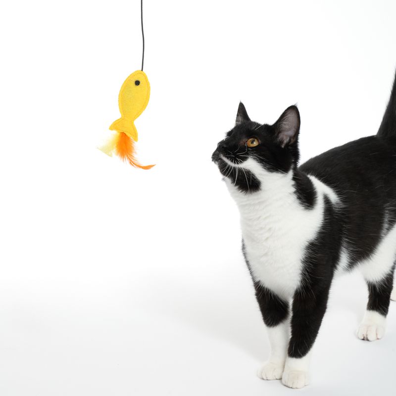 TIAKI Dangling Cat Toy with Door Mount 1 Toy
