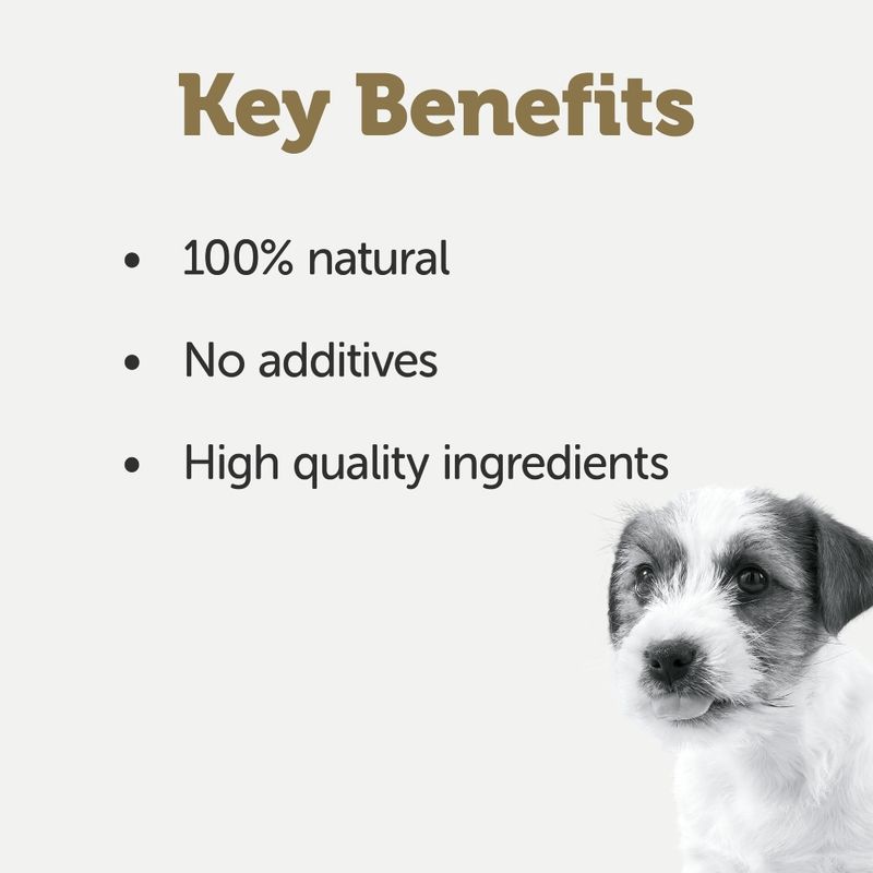 Applaws Puppy Taste Toppers in Broth 6 x 156g Chicken Breast with Vegetables