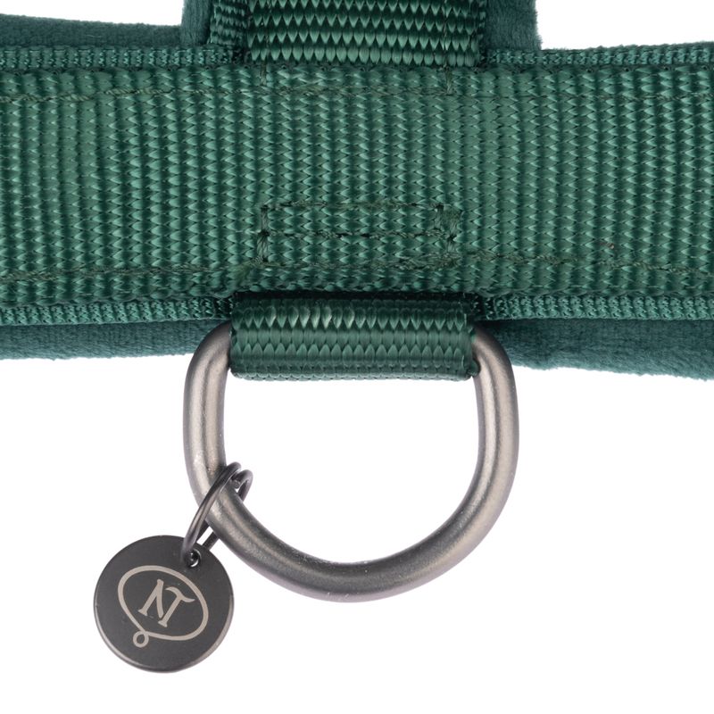Nomad Tales Blush Harness - Emerald Size XS: 34 - 49 cm chest circumference, W 15 mm