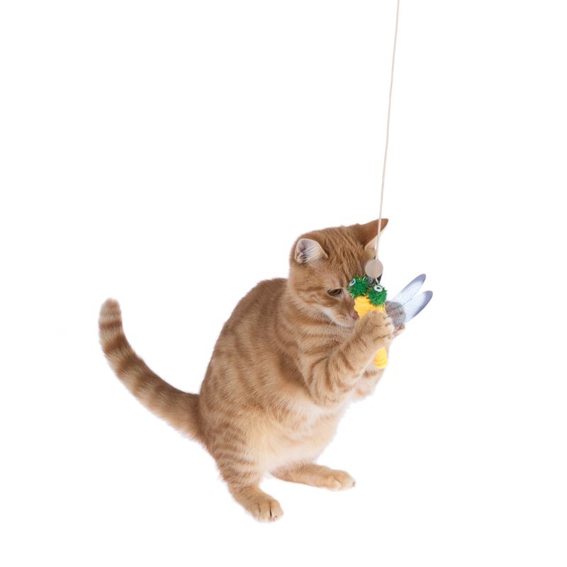 TIAKI Dragonfly Cat Dangler Toy with LED Pointer 1 Dangler Toy