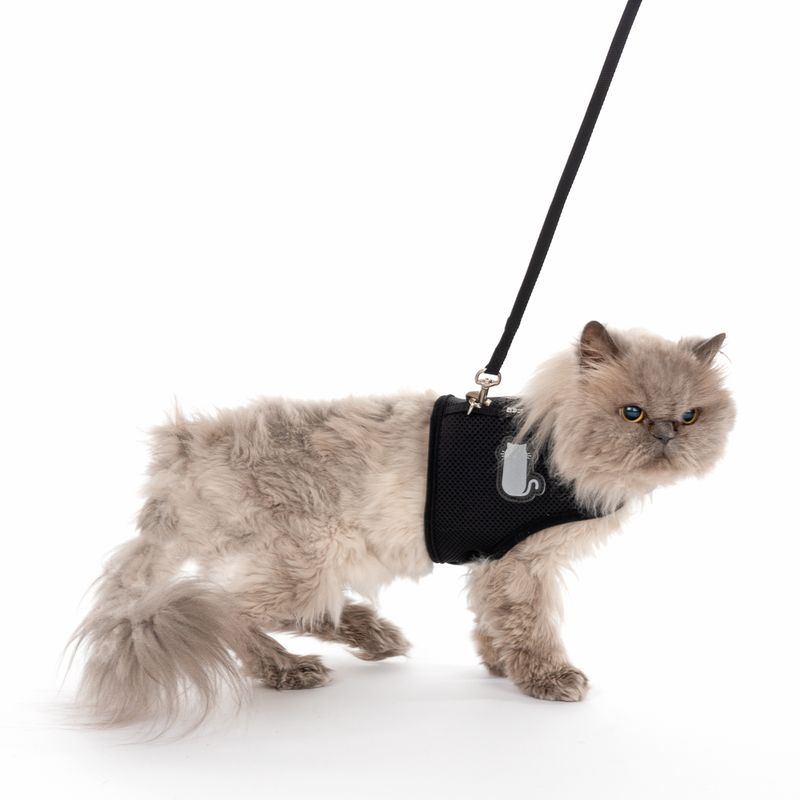 TIAKI Comfy cat harness with lead Abdominal girth: 28 - 38 cm