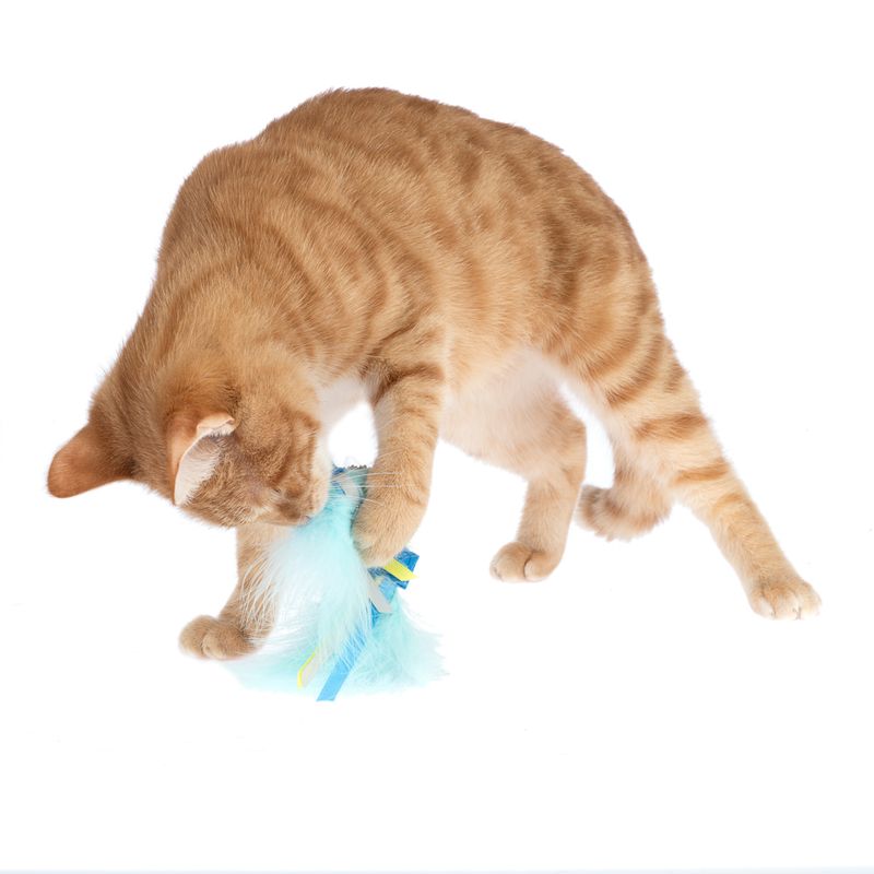 TIAKI interactive cat toy with suction cup 1 Toy
