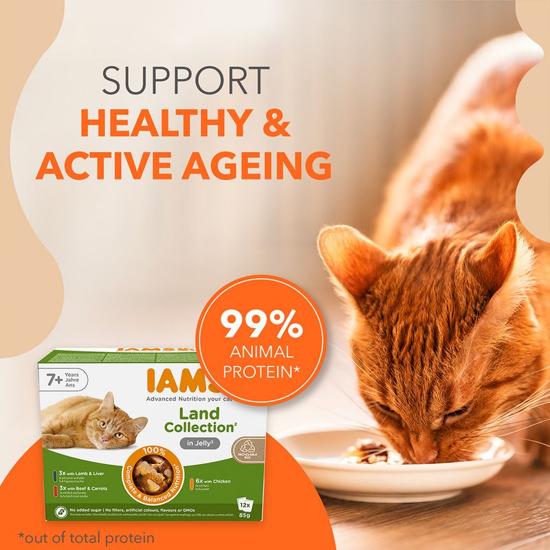 IAMS Advanced Nutrition Senior 7+ Land Collection in Jelly 12 x 85g (3 Flavours)