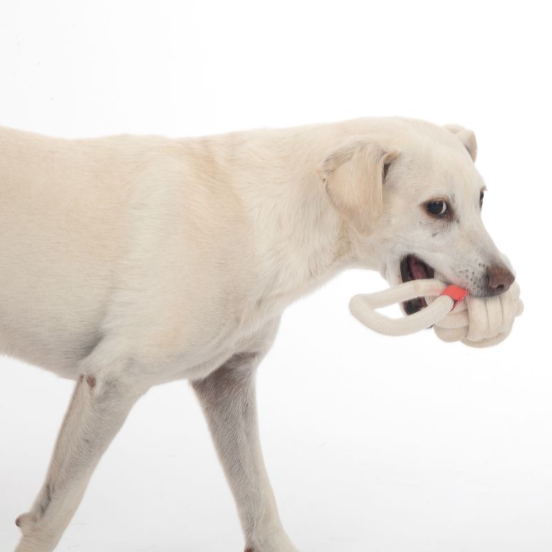 TIAKI Dog Toy Rope Ball with Handle L 23 x Ø 8,3 cm