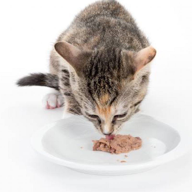 beaphar Renal Diet Mixed Trial Pack 6 x 100g 6 Varieties