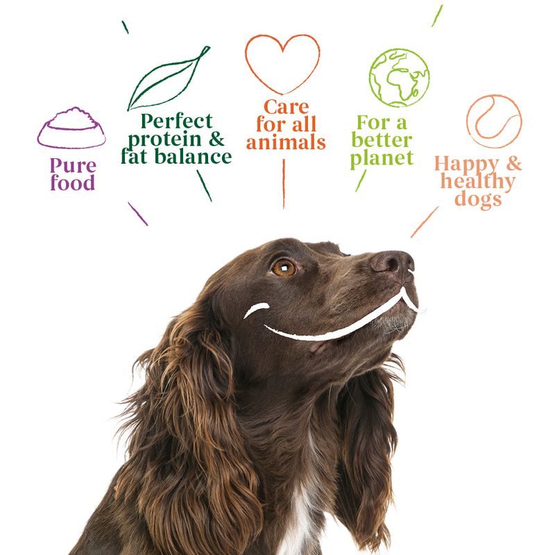 Yarrah Organic Vega with Organic Vegetables & Organic Rosehip 12 x 150g