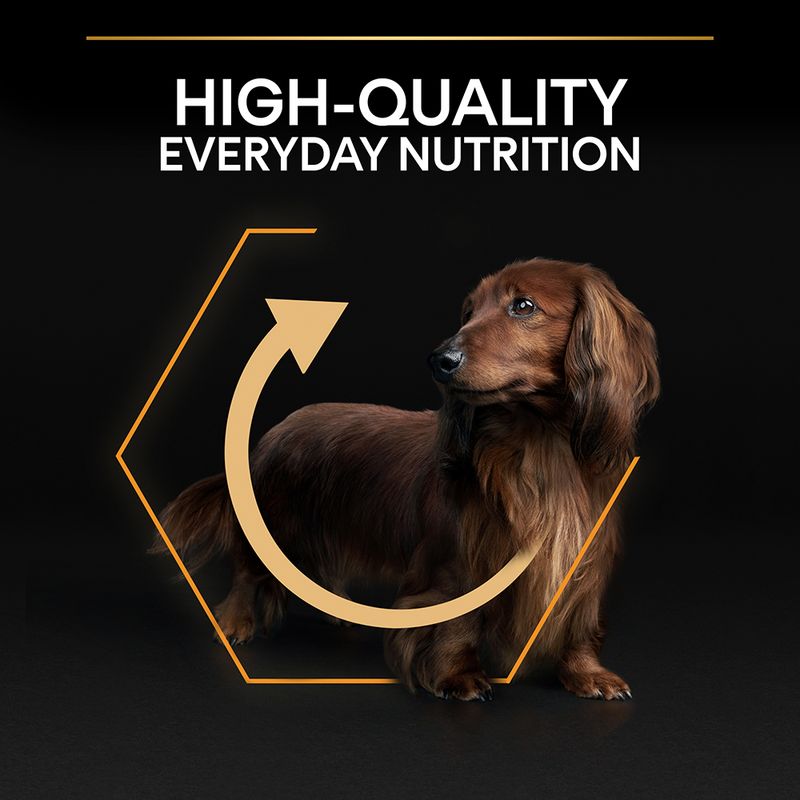 PURINA PRO PLAN Small & Mini Adult Everyday Nutrition 7kg