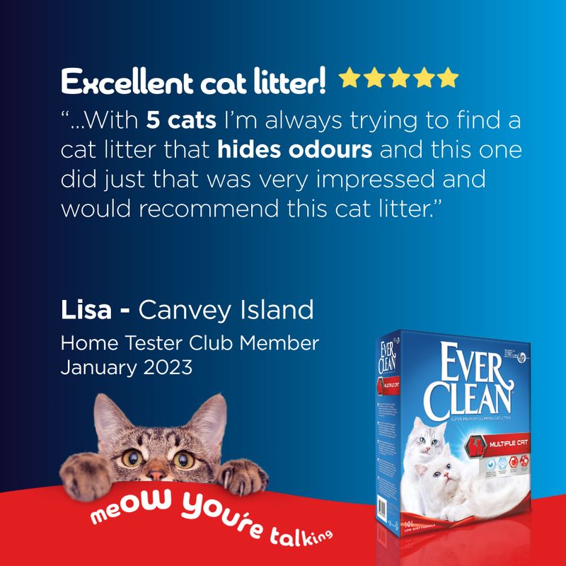 Ever Clean® Multiple Cat Clumping Cat Litter 10l