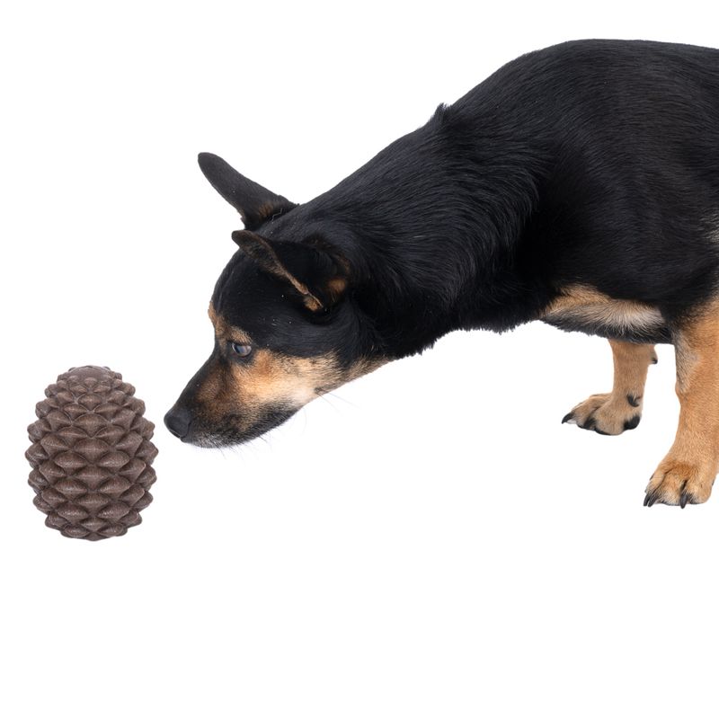 TIAKI Pine Cone Puzzle Toy 1 Toy