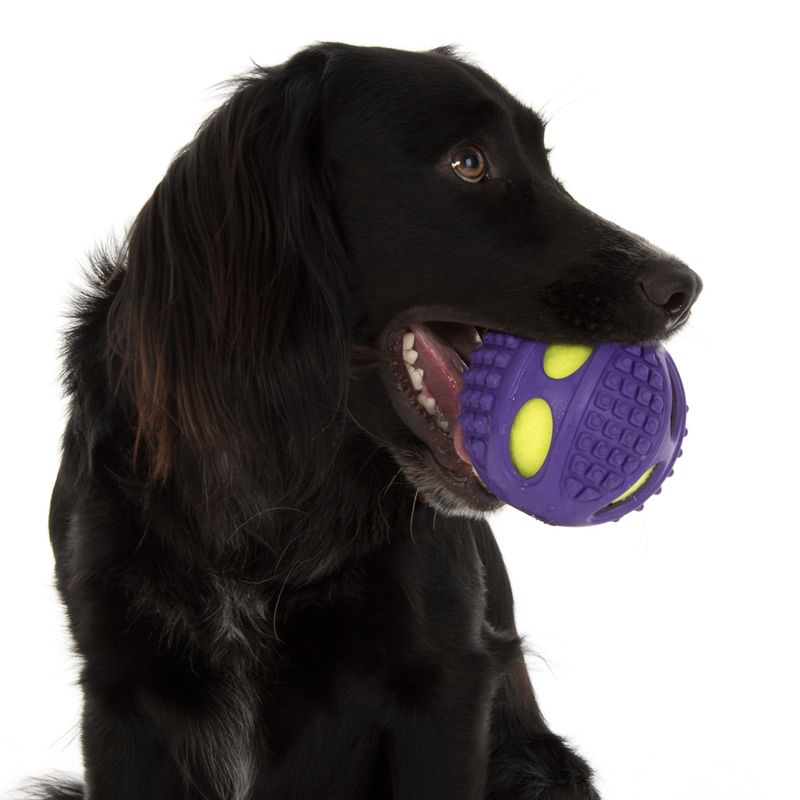2-in-1 Rubber Tennis Ball Dog Toy L: Diameter 10cm