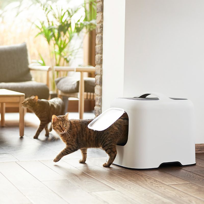 Rotho MyPet BIALA Cat Litter Tray Anthracite