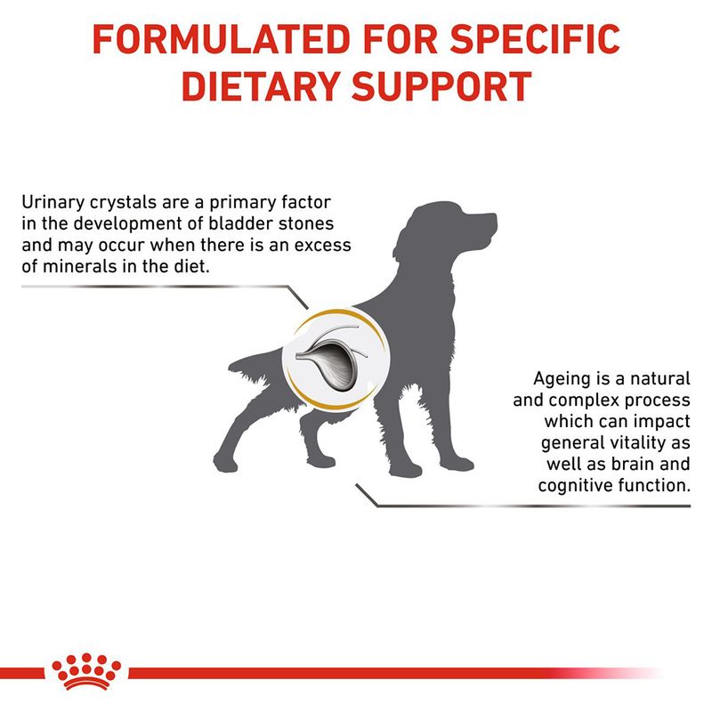 Royal Canin Veterinary Dog - Urinary S/O Ageing 7+ 8kg