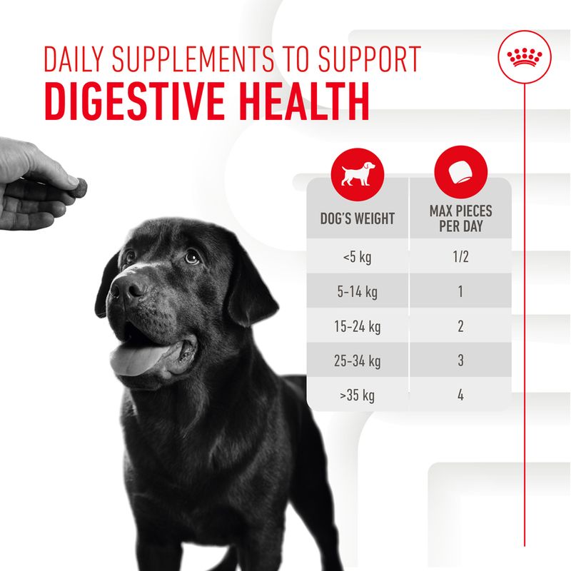 Royal Canin Digestion Adult Supplement Chews 160g (40 pieces)