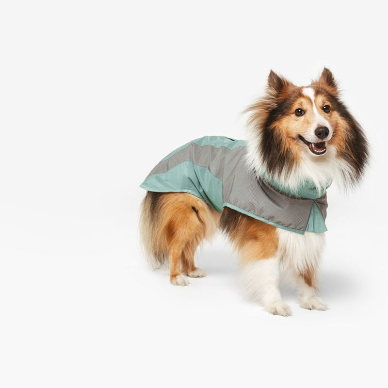 Nomad Tales Spirit Reflective Dog Raincoat - Mint approx. 35cm (Back Length)