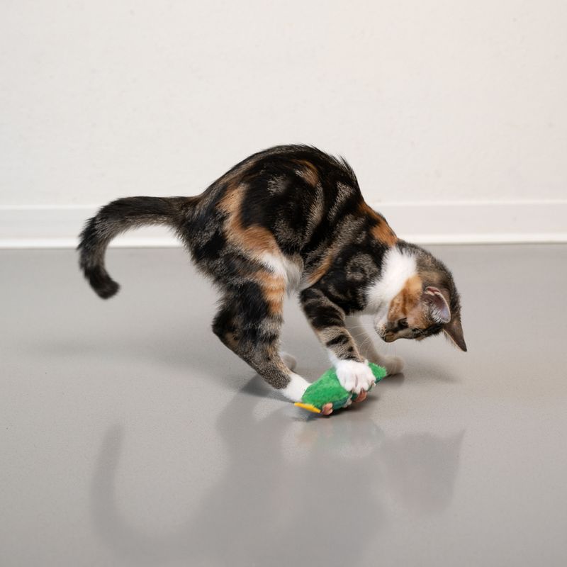 TIAKI Catnip Christmas Tree 1 Toy