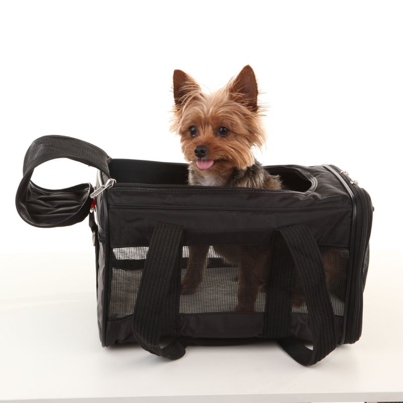 Sherpa® Original Deluxe Pet Carrier Size L: approx. 48 x 30 x 29 cm (L x W x H) – up to 10kg