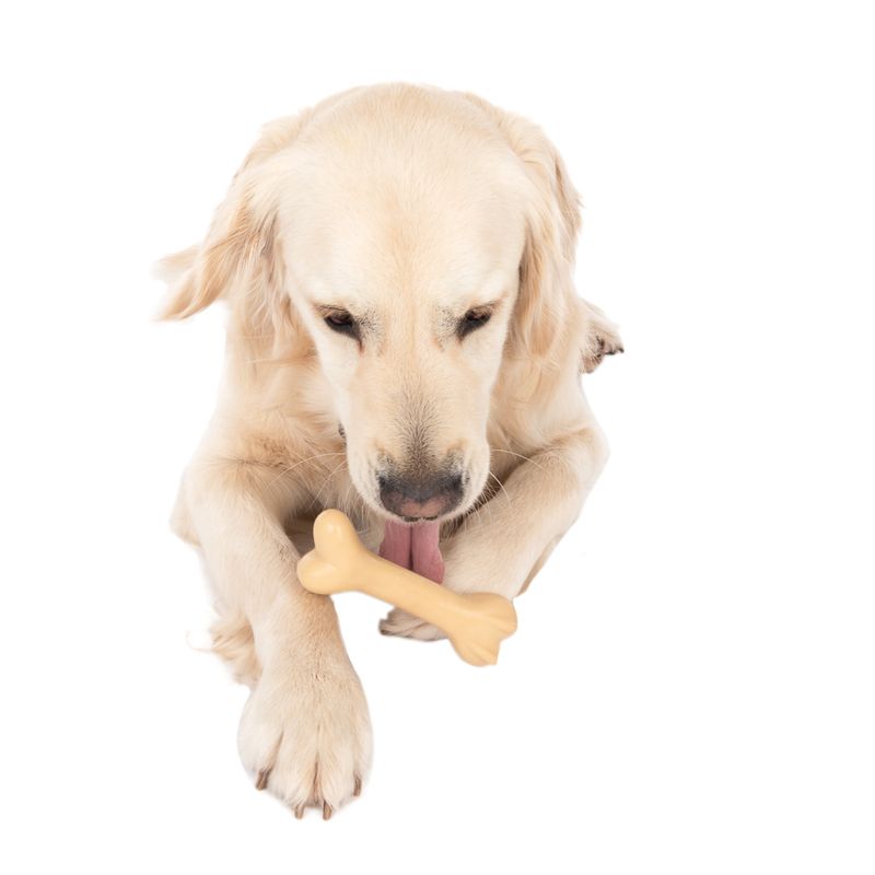 TIAKI Rubber Bone Dog Toy 15 x 4.5 x 3.5cm (L x W x H)