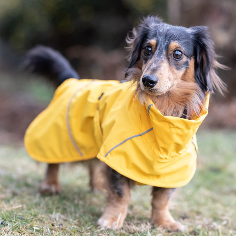 Rukka® Hayton Eco mackintosh, yellow approx. 40 cm back length