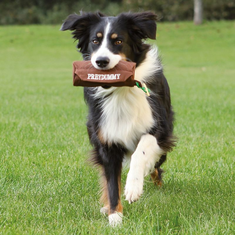 Trixie Preydummy Hunting Toy Brown