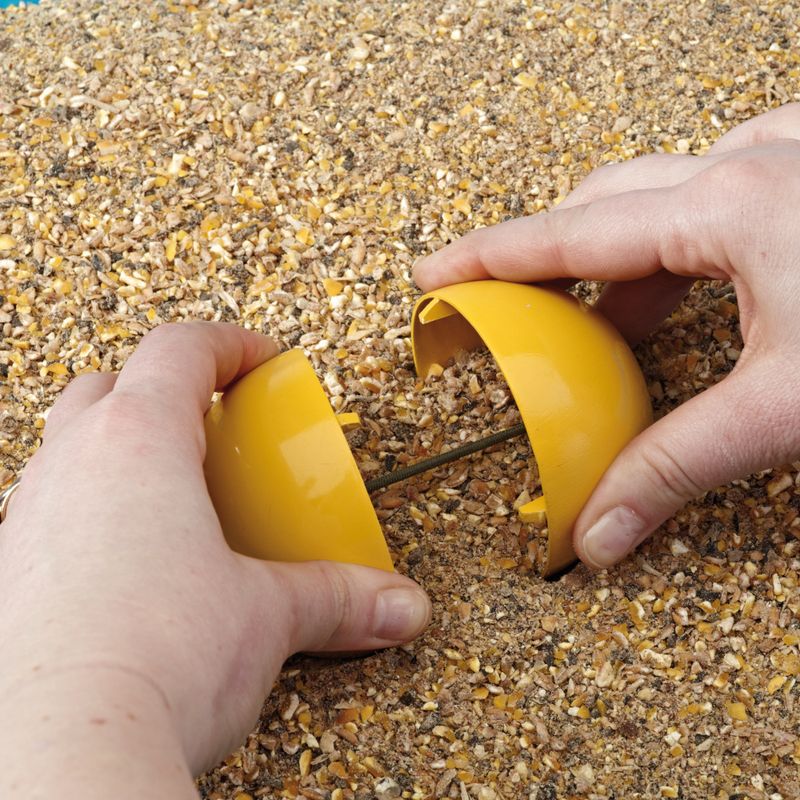 Savic Chicken Toy Chicken Fun 7 x 8cm (W x H)