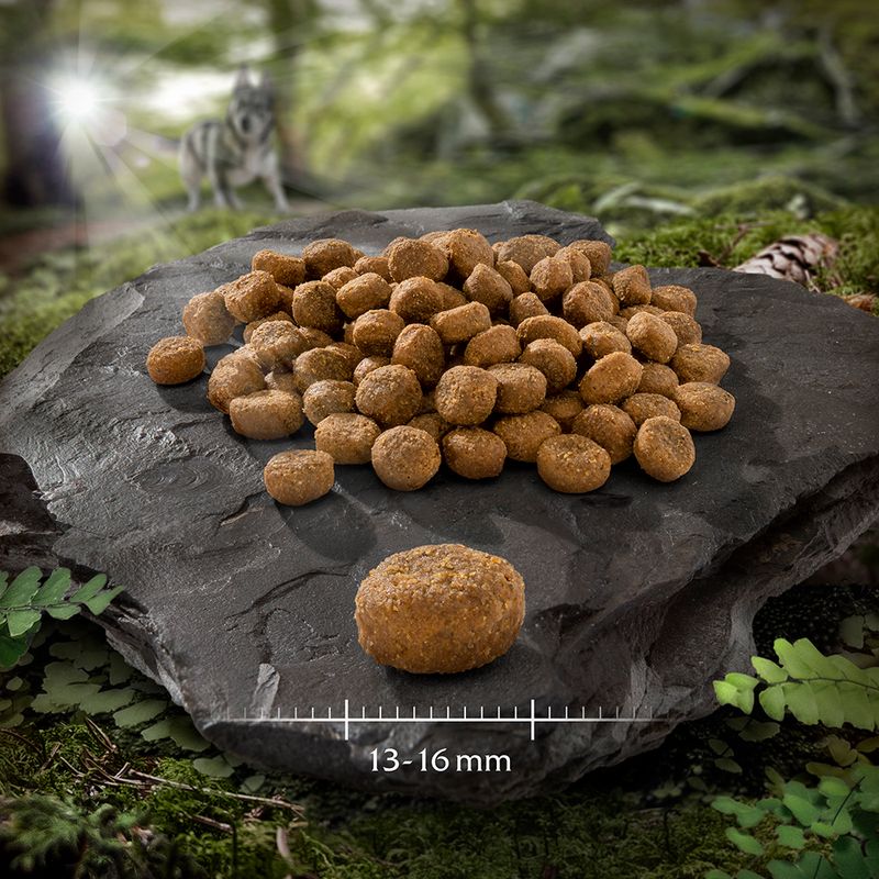 Wolf of Wilderness Adult \