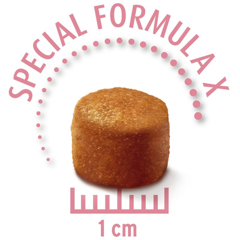 Concept for Life Economy Packs Sterilised Cats - Salmon (2 x 10 kg)