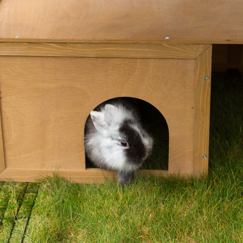 Kerbl Pet Free-Range Enclosure with Plastic Roof & Escape Barrier 220 x 115 x 75cm (L x W x H)