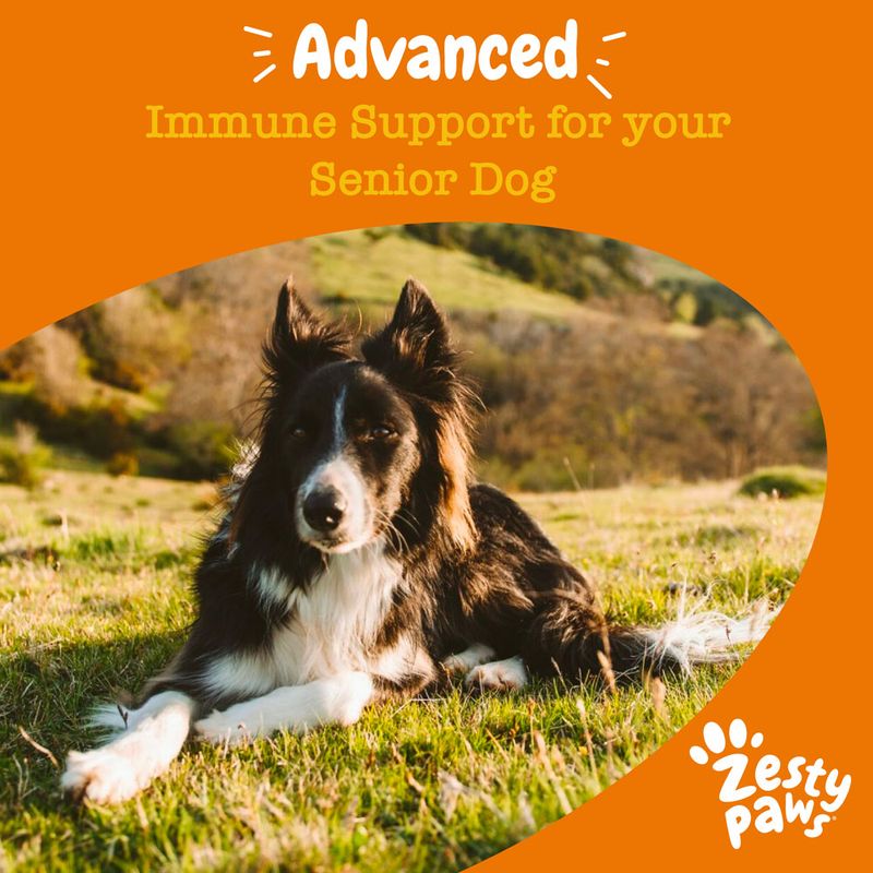 Zesty Paws Senior Allergy & Immunity Skin & Immune Support - Salmon 50 Chews