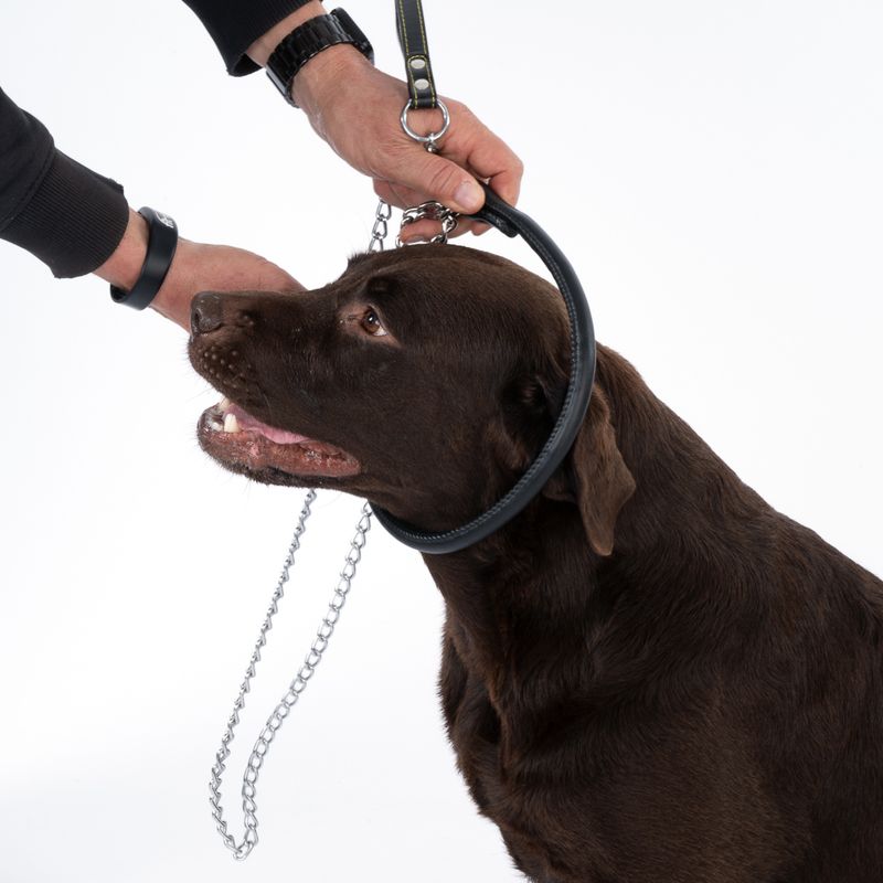 TIAKI Chain Dog Collar approx. 45cm Neck Circumference