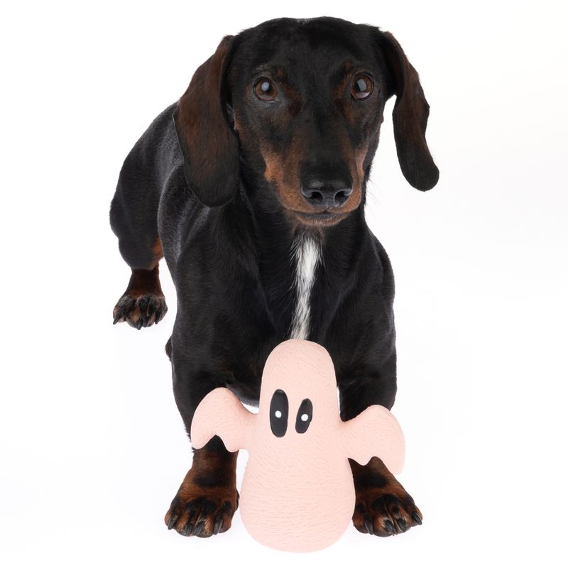 TIAKI Latex Ghost Dog Toy 1 Toy