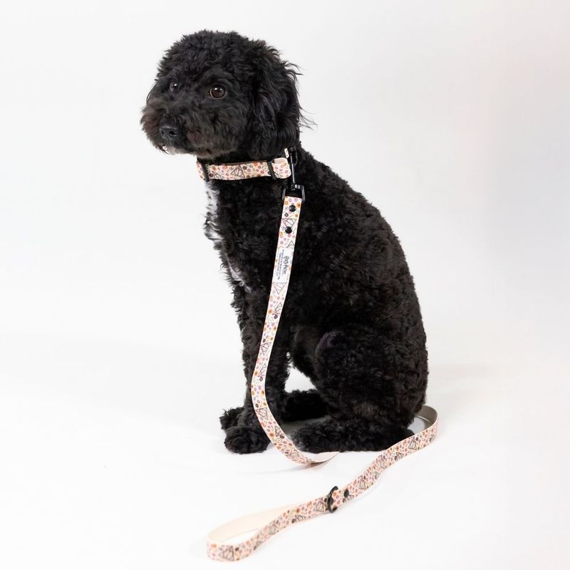 Harry Potter Deathly Hallows Dog Lead 200cm Length, 20mm Width