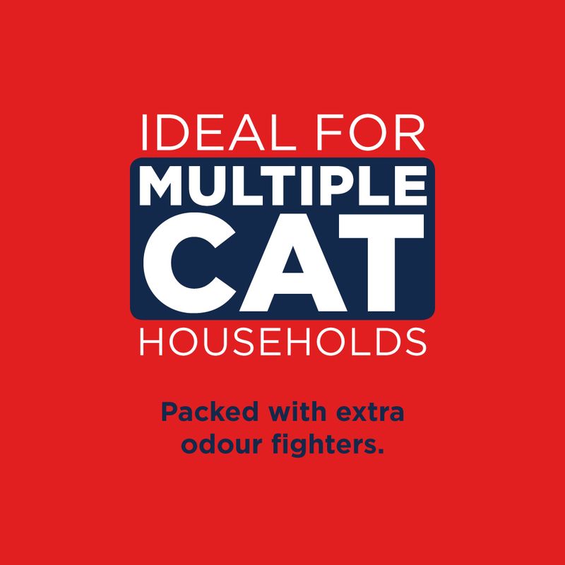 Ever Clean® Multiple Cat Clumping Cat Litter 10l