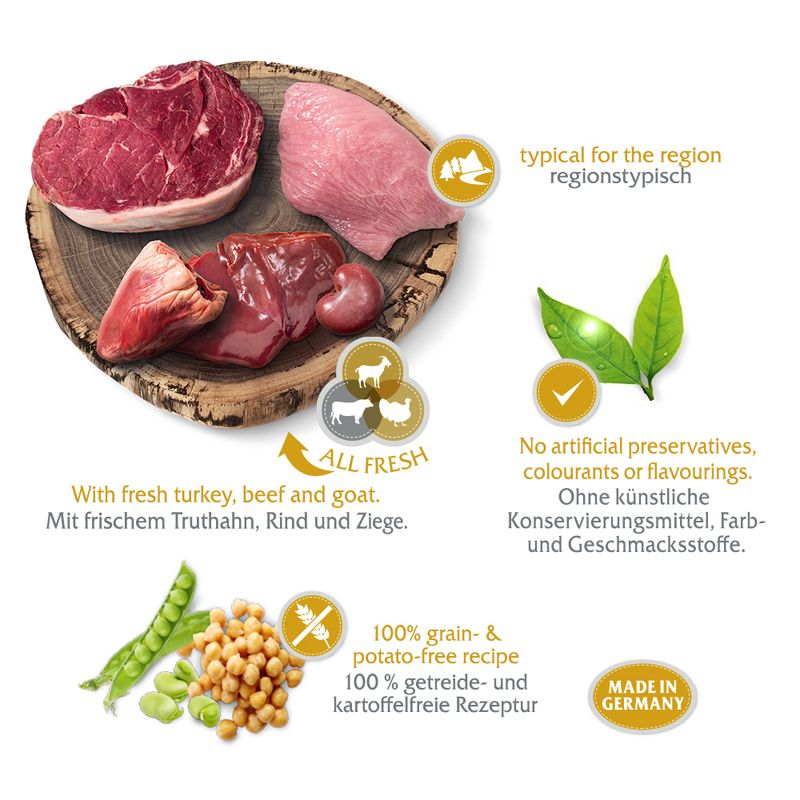 Wolf of Wilderness \