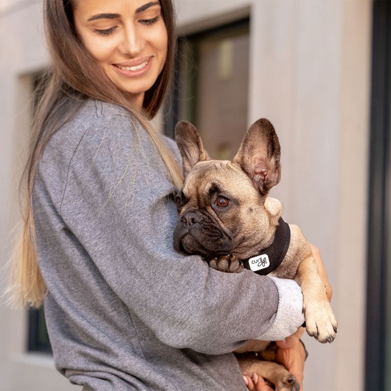 Curli Vest Harness Clasp Air-Mesh, black Size 3XS: chest girth 26.7 - 30.1 cm