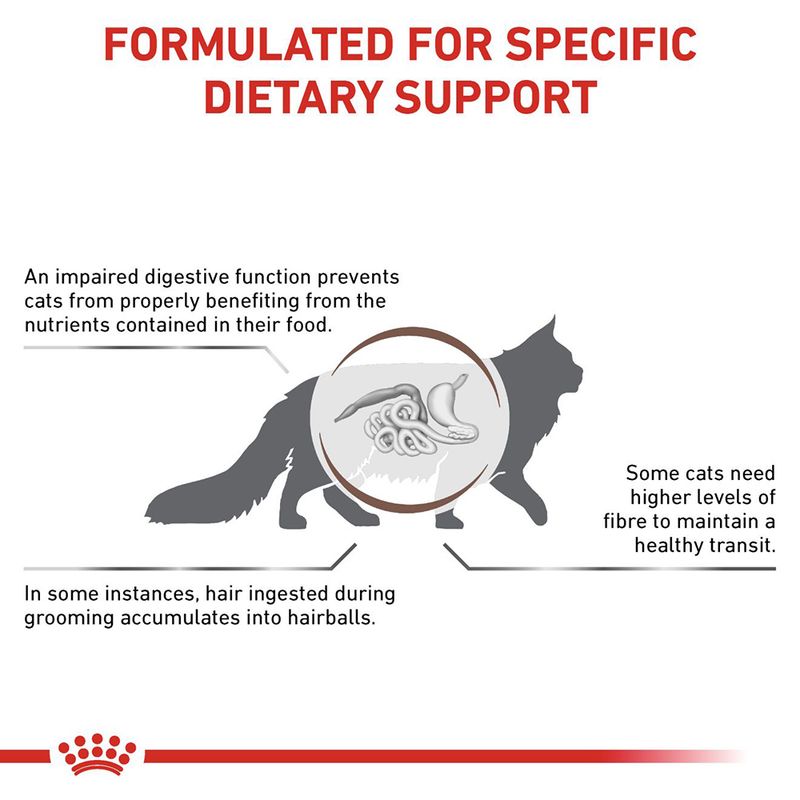 Royal Canin Veterinary Cat - Gastrointestinal Hairball 2kg