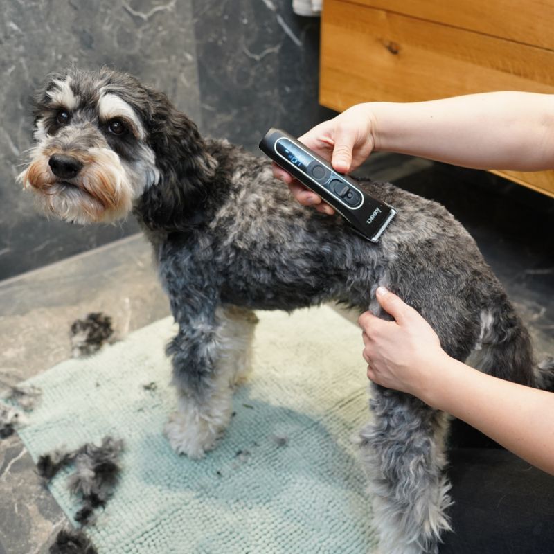 kooa GEAR 3S Battery-Operated Clippers Complete Set