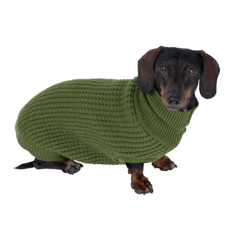 TIAKI Forest Dog Jumper approx. 40cm Back Length
