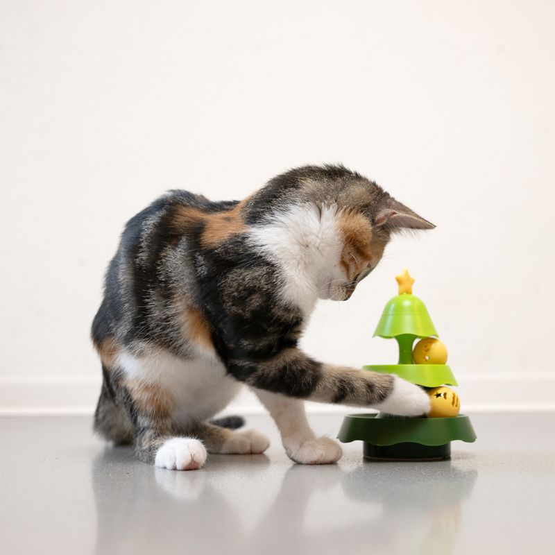 TIAKI Interactive Christmas Tree Cat Toy 1 Toy