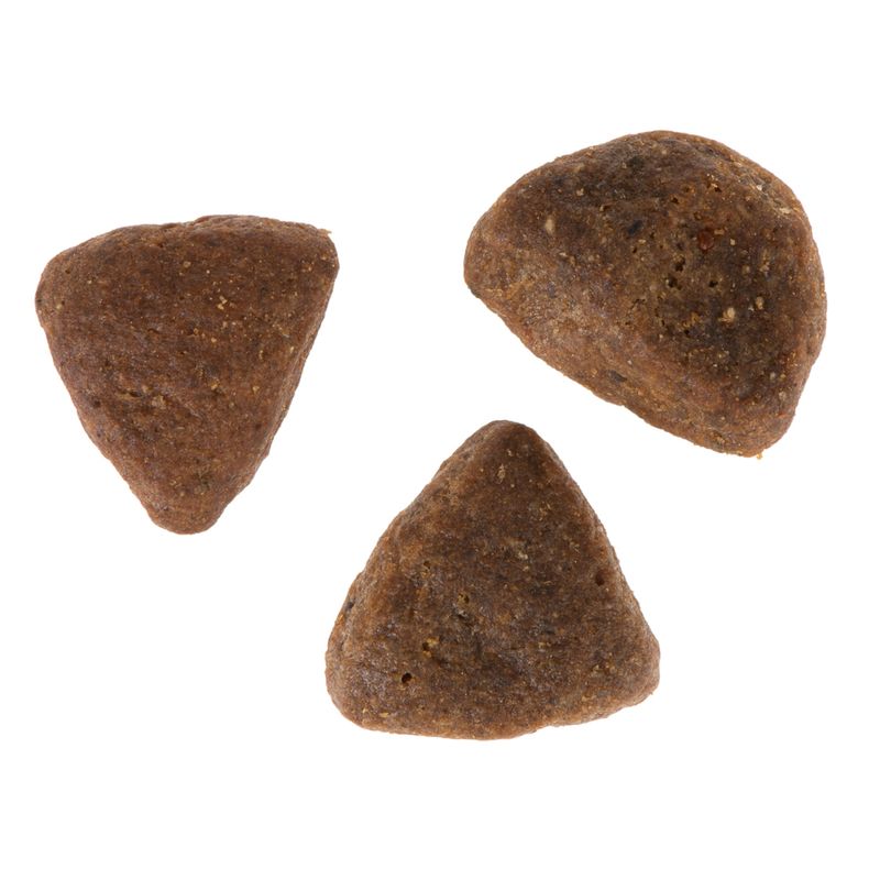 Wolf of Wilderness \