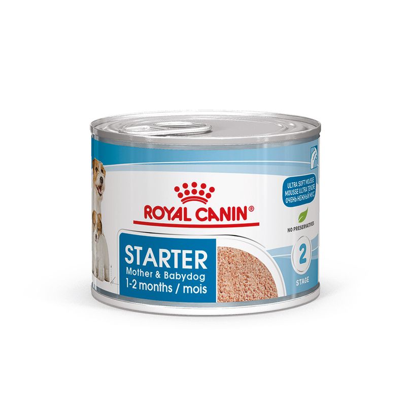 Royal Canin Starter Mousse Mother & Babydog 12 x 195g