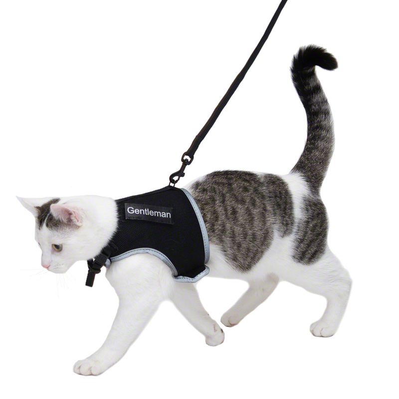 Trixie XCat XL Harness with Lead and Exclusive Stickers Black