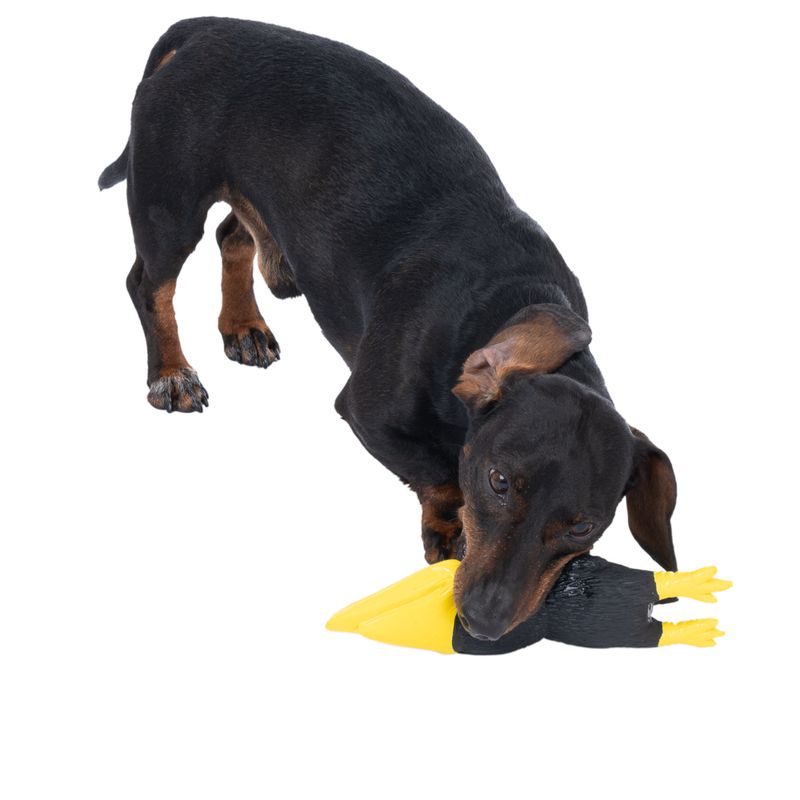 TIAKI Ramiro Latex Toy 24 x 6cm (L x diameter)