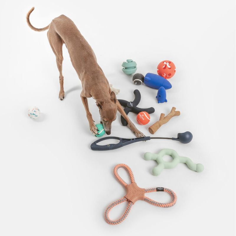 Nomad Tales Bloom Ball Launcher 1 Launcher