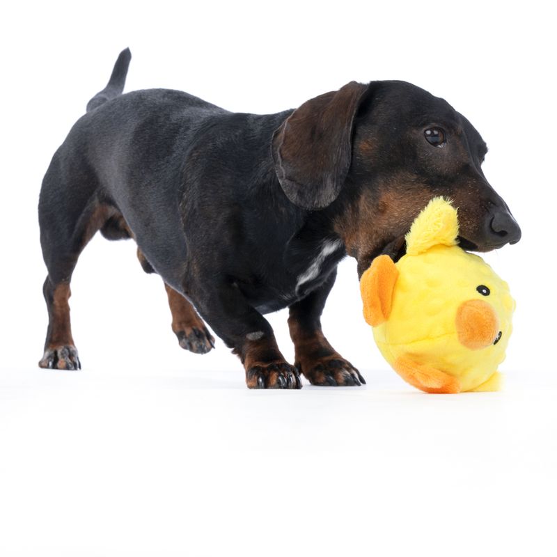 TIAKI Chicken with TPR Ball 18 x 17 x 11.5 cm (L x W x H)