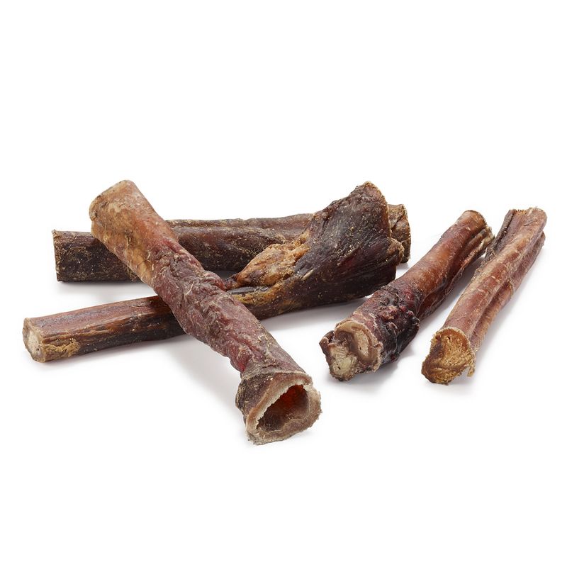 Rocco Dried Pizzle - 12cm 5 Chews