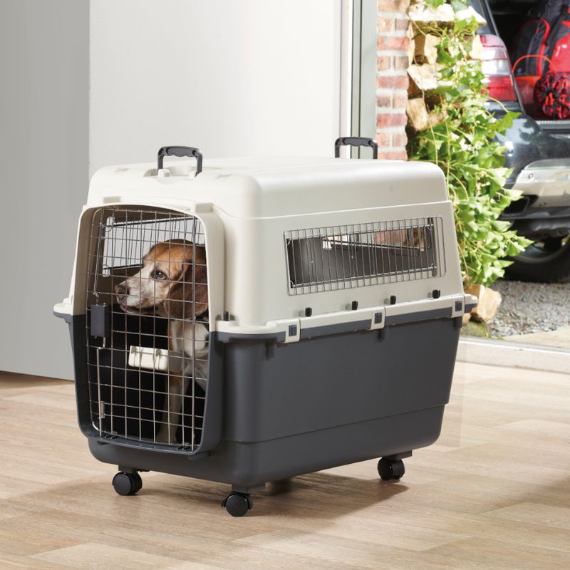 Feria Transport Crate with Wheels Size 5 (M): Dark Grey / Beige