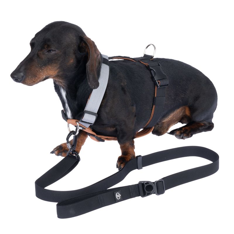 Nomad Tales Spirit Adjustable Dog Lead approx. 150 - 200 cm Length
