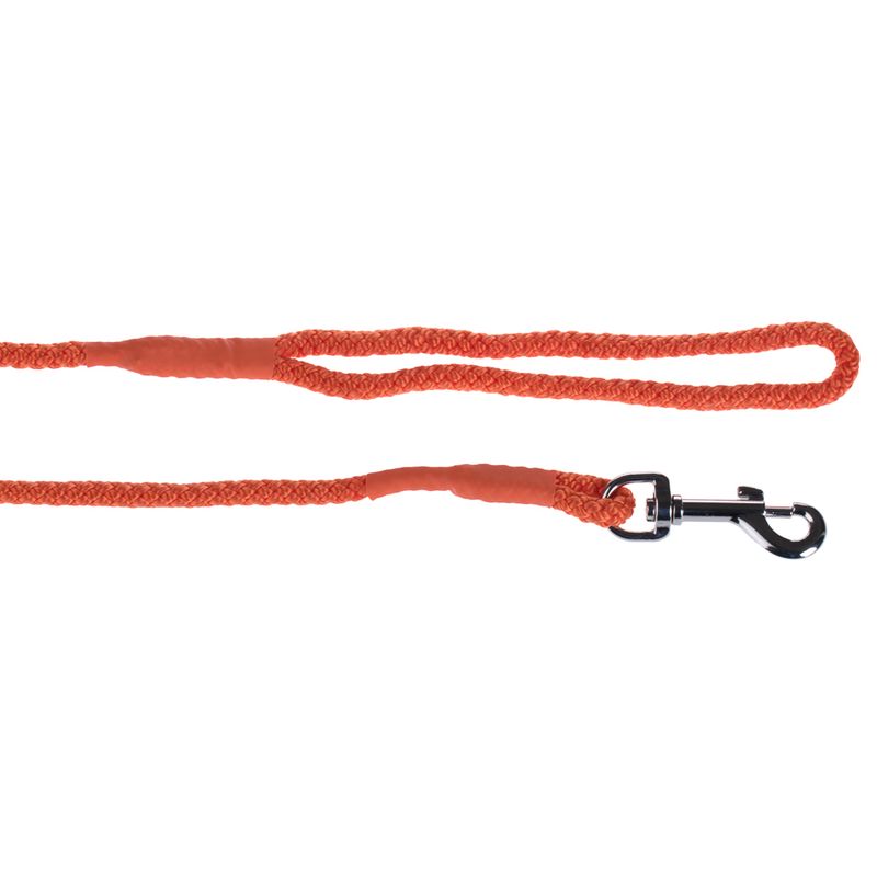 Heim Long Dog Training Lead - Orange 5m