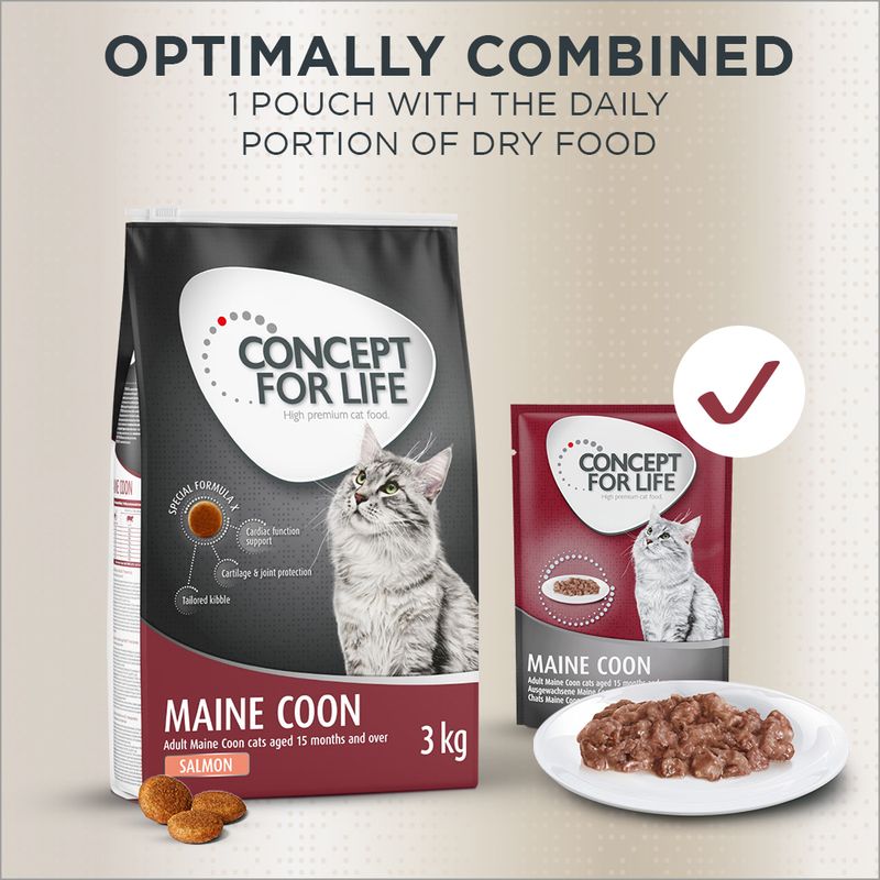 Concept for Life Maine Coon Adult Salmon - Grain-Free 400g