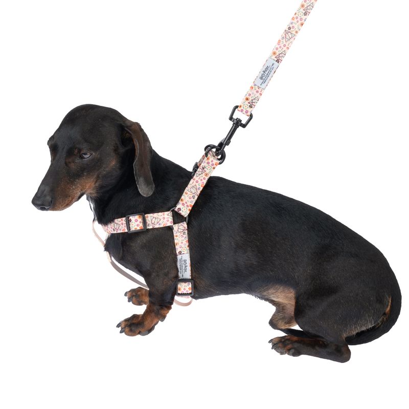 Harry Potter Deathly Hallows Harness - Beige Size S: Chest Circumference 39 - 51 cm